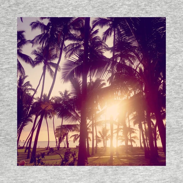 sunset at the beach under the palm trees by Avivacreations